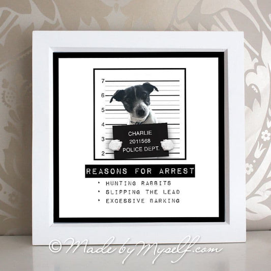 Framed Naughty Pet Mug Shot