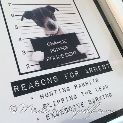 Framed Naughty Pet Mug Shot