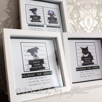 Framed Naughty Pet Mug Shot